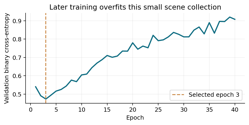 training_curve.png