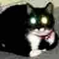 Yu Sawai's profile picture