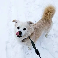 Oliver's profile picture