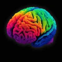 alkinun's profile picture