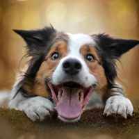 UnderwoodNobel's profile picture