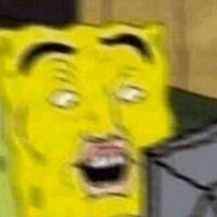 Saira Anwari's profile picture