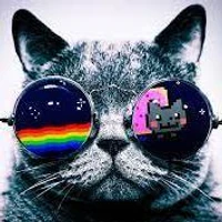 Mahule Roy's profile picture