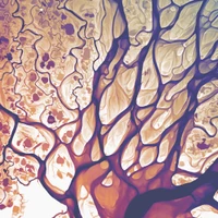 Graphlab AS's profile picture