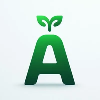 lt-asset