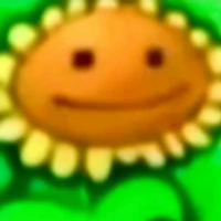 SunFlower's profile picture