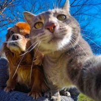 Qi Wei's profile picture