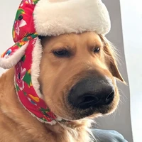 f-c's profile picture