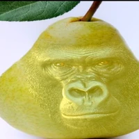 Frolov Anatolii's profile picture