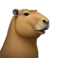 ignacio viau's profile picture