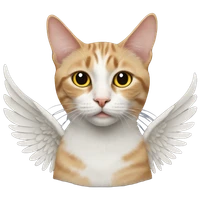 Bana Jadouh's profile picture