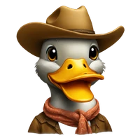 liu's profile picture
