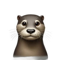 Felix Kreutz's profile picture