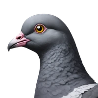 Naren Siddharth Muruganantham's profile picture
