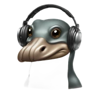 QunNiu's profile picture