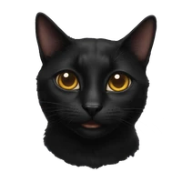 Justin Gerace's profile picture