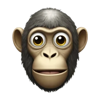 Jorge Salazar's profile picture
