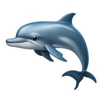 Jacob Maimon's profile picture