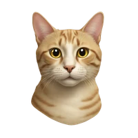 Christine Crepaz's profile picture