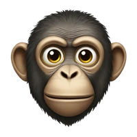 William Hollingshead's profile picture