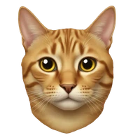 Manas Nikam's profile picture