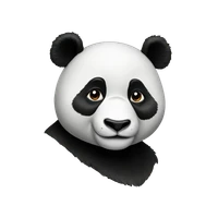 Jiacheng Rong's profile picture