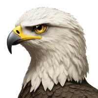 Санжар Сапар Даулетұлы's profile picture