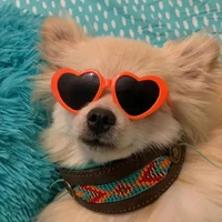 Richard Wei's profile picture