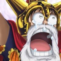 Sílvio Gaspar's profile picture