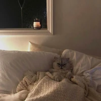 Merkulova Alina's profile picture