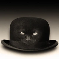 Artyom Radaykin's profile picture