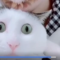 Boogaart's profile picture