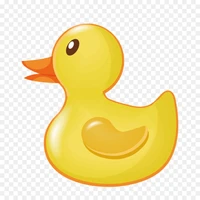 Alejandro Vallejo Rangel's profile picture
