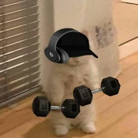 肖凡's profile picture