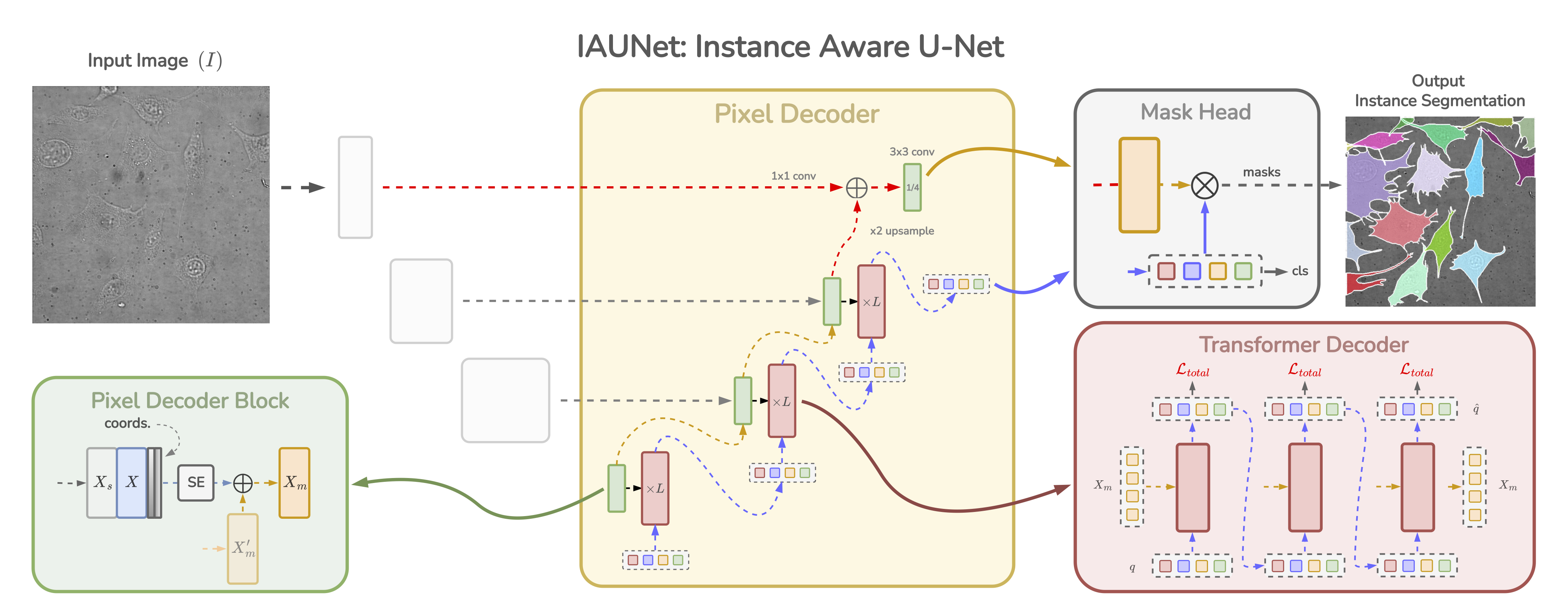 IAUNet_v2-main_v2.png